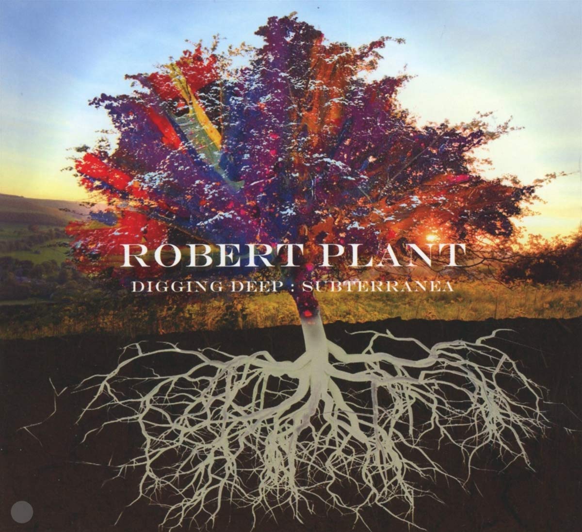 Robert Plant: Digging Deep: Subterranea