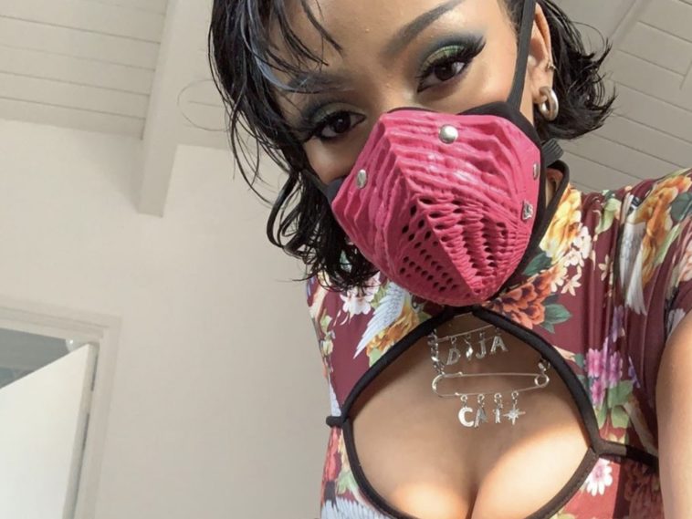 Doja Cat Pink Face Mask 2