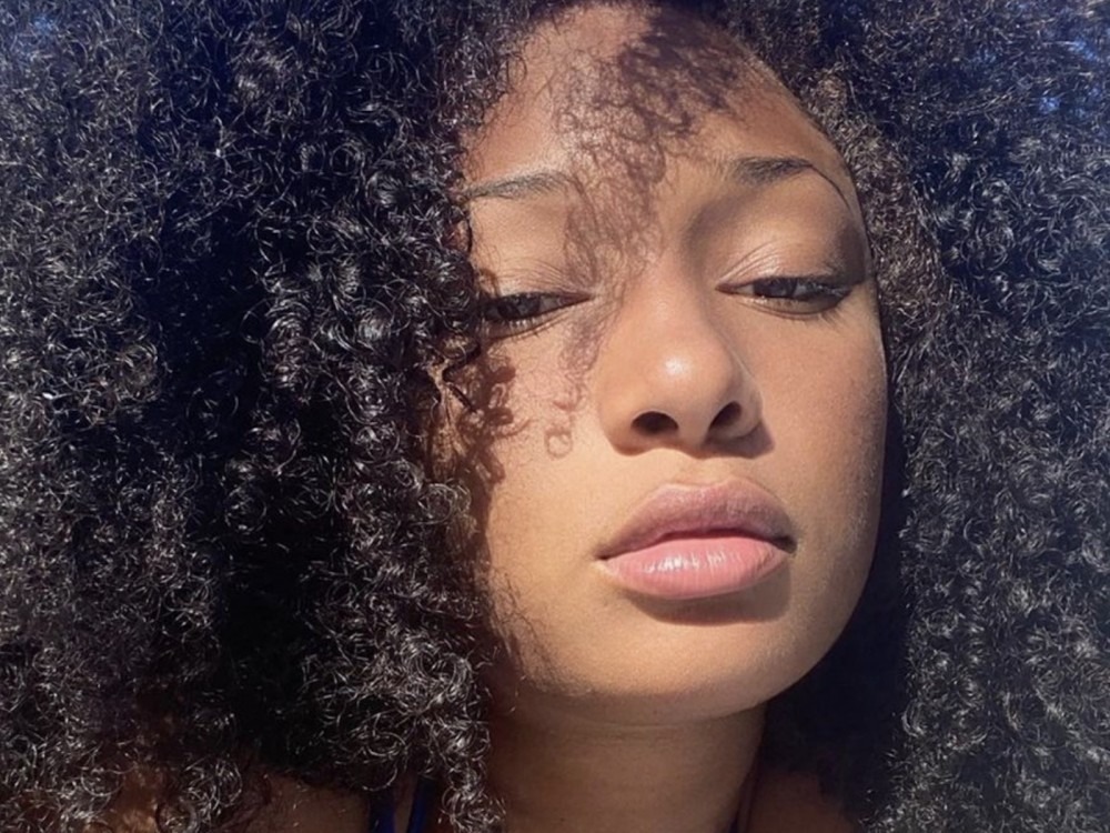 Meg Thee Stallion Gives Up All Hope On Black-Ran Blogs