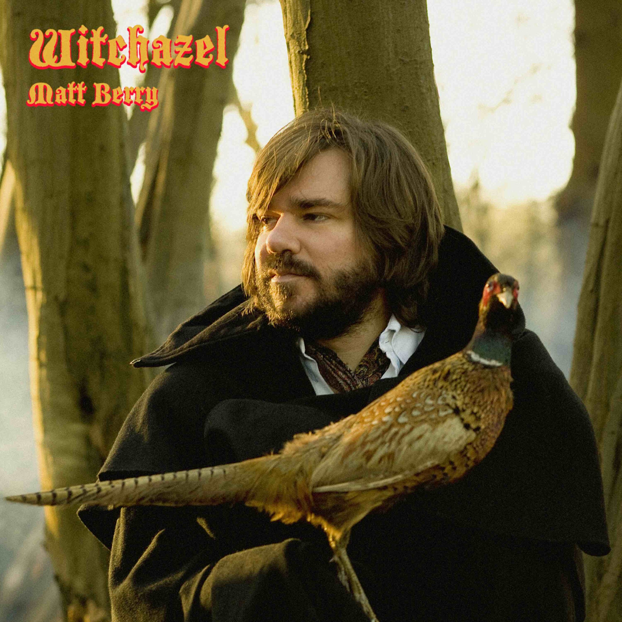 Matt Berry vinyl reissues – Witchazel & Kill The Wolf