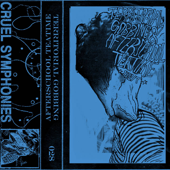 Territorial Gobbing/Afterschool Teatime Split (Cruel Symphonies)