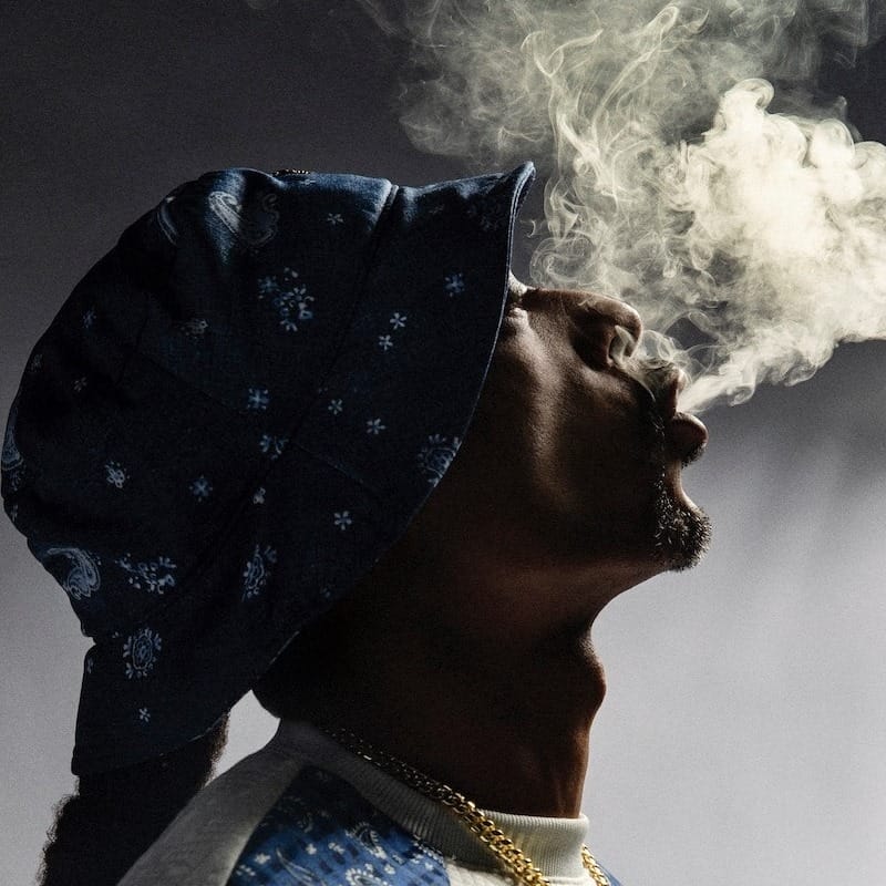 Snoop Dogg Steps Away From Smoke Consumption