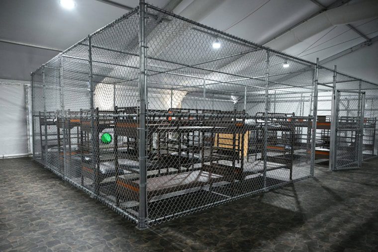 Imprisoned in Alligator Alcatraz, Cuban reggaeton artist claims inhumane conditions