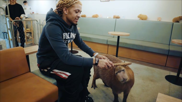 seventhirtyatmorning and luvxomea are making the plushest SoundCloud rap