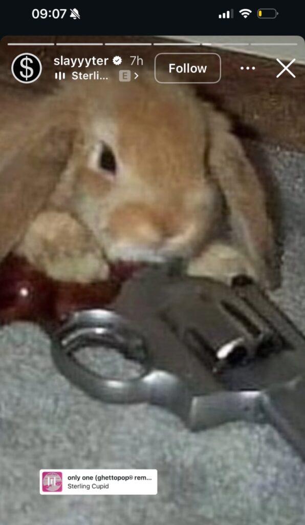 Sterling Cupid’s “only one [ghettopop remix]” won’t be a sleeper hit much longer