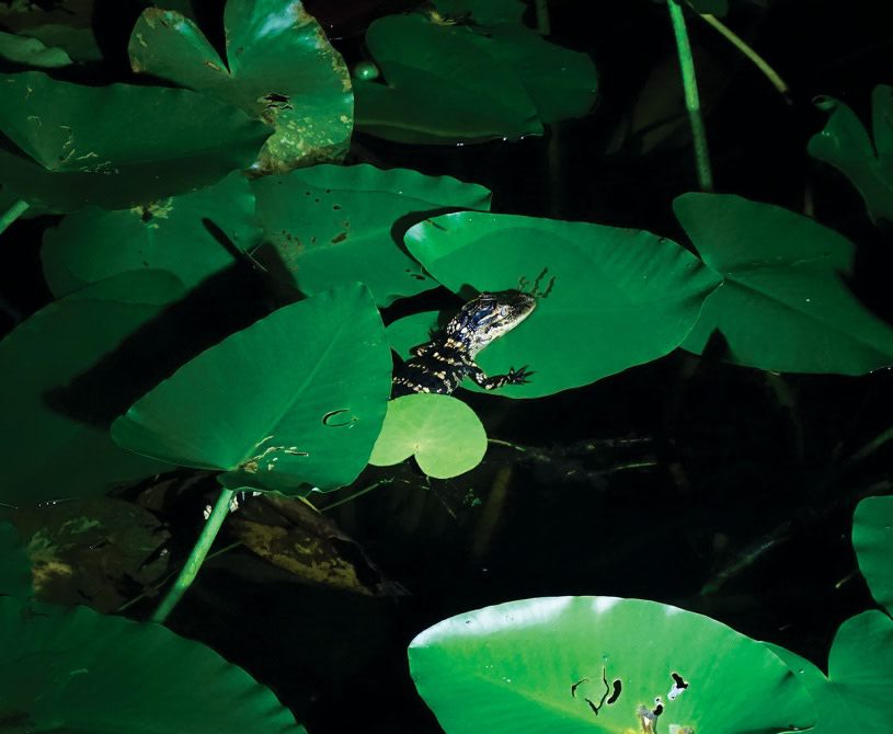 7 new dance albums we can’t wait to hear in the club